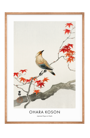 Japanese Plague on Maple - Ohara Koson Plakat - 60x84