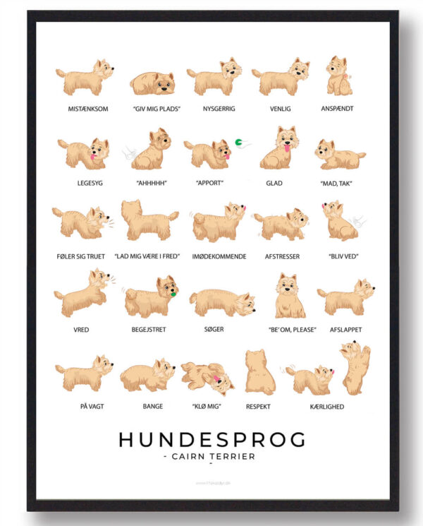 Cairn Terrier - Hundesprog plakat (Størrelse: L - 50x70cm (B2))