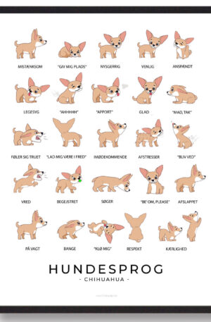 Chihuahua - Hundesprog plakat (Størrelse: L - 50x70cm (B2))