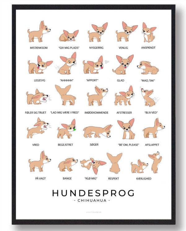 Chihuahua - Hundesprog plakat (Størrelse: L - 50x70cm (B2))