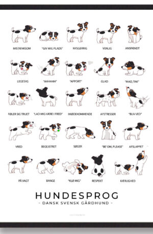 Dansk Svensk Gårdhund - Hundesprog plakat (Størrelse: L - 50x70cm (B2))