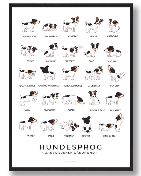 Dansk Svensk Gårdhund - Hundesprog plakat (Størrelse: L - 50x70cm (B2))