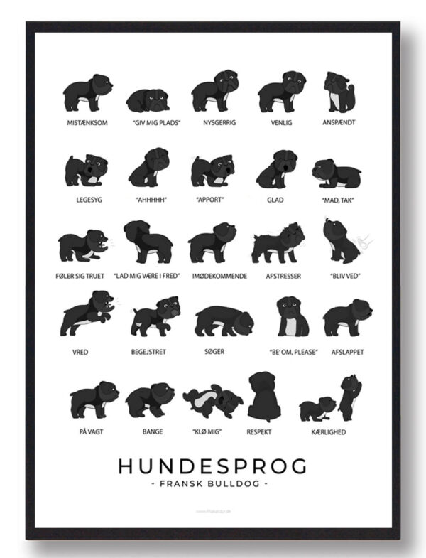 Hundesprog  Fransk Bulldog sort plakat (Størrelse: L - 50x70cm (B2))