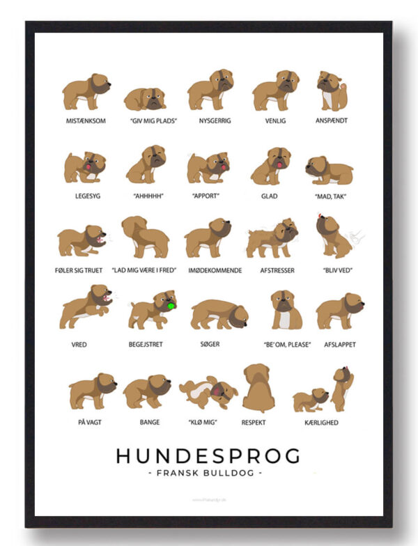 Hundesprog - Fransk Bulldog plakat (Størrelse: L - 50x70cm (B2))