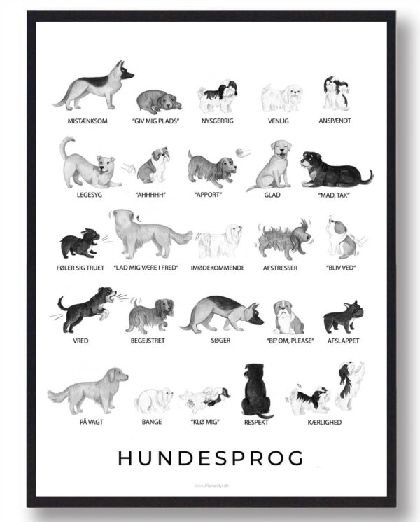 Hundesprog sort/hvid - plakat (Størrelse: L - 50x70cm (B2))