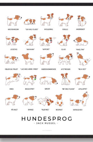 Jack Russel - Hundesprog plakat (Størrelse: L - 50x70cm (B2))