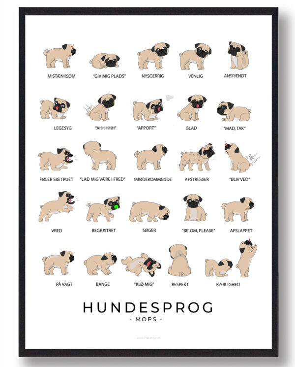 Hundesprog  Mops plakat (Størrelse: L - 50x70cm (B2))