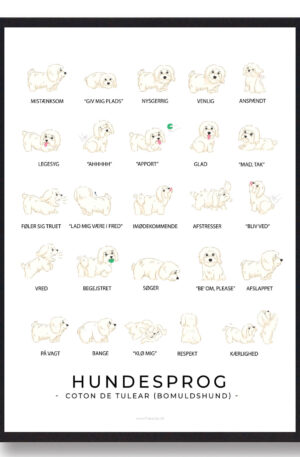 Hundesprog - Coton de Tulear - Bomuldshund plakat (Størrelse: L - 50x70cm (B2))