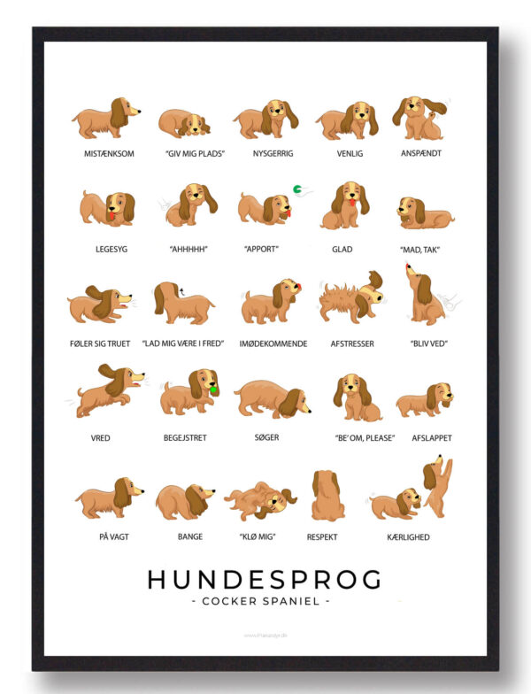 Hundesprog - Cocker spaniel plakat (Størrelse: L - 50x70cm (B2))