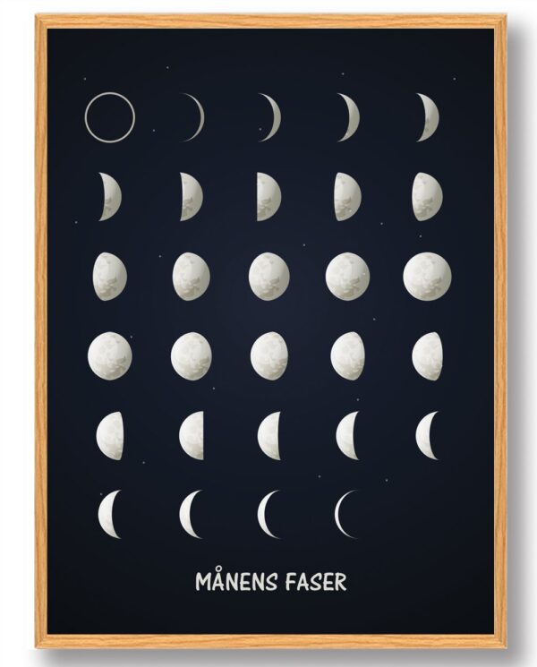 Månens faser - plakat (Størrelse: S - 21x29