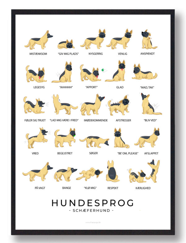 Hundesprog - Schæferhund plakat (Størrelse: L - 50x70cm (B2))