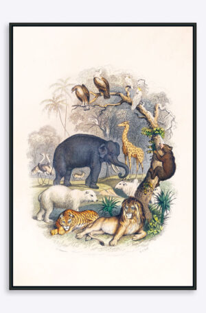 Wild Animals - 30x40 cm