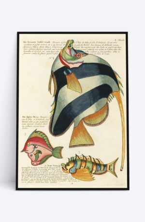 De Groote Tafel-visch - 50x70 cm