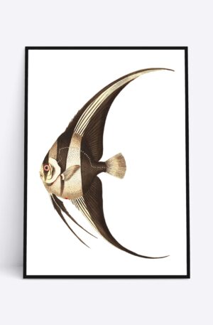 Brown Fish - 70x100 cm