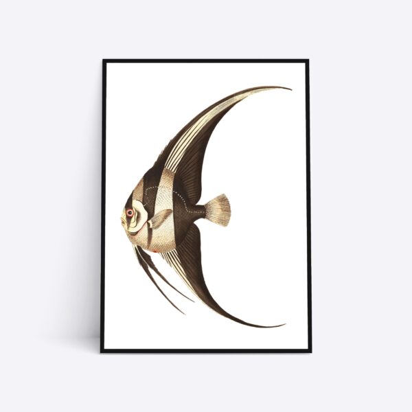 Brown Fish - 70x100 cm