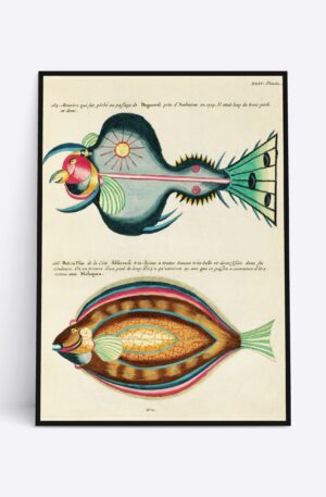 Exotic Fish - 70x100 cm