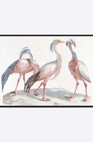 Three Birds - 70x100 cm
