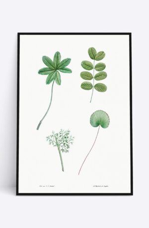 Plants - 70x100 cm