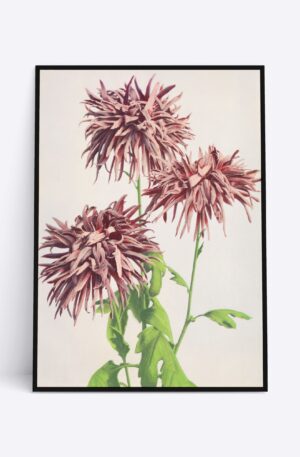 Wild Flower Heads - 70x100 cm