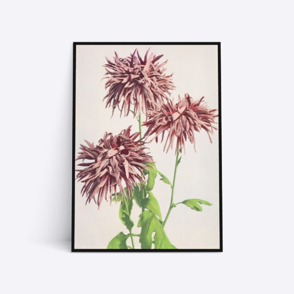 Wild Flower Heads - 70x100 cm